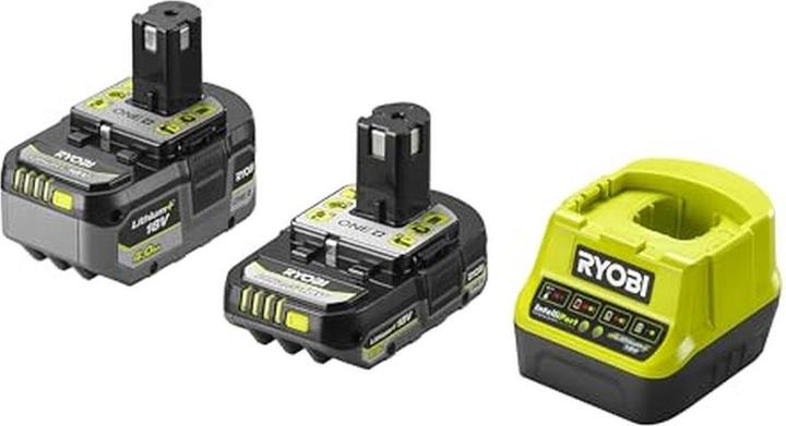 2 batterie ricaricabili (2,0 Ah e 4,0 Ah) e 1 caricatore rapido