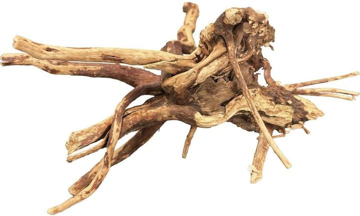 BioArt Natürliches Spinnenholz 10-15 cm (Wurzeln, sonstige Gegenstände)