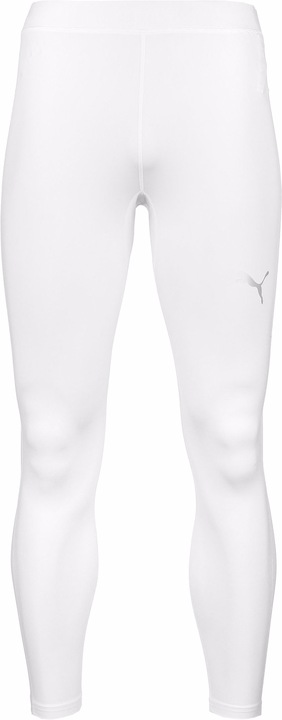 Actual product image Puma LIGA Baselayer Long Training Tight Men (S)