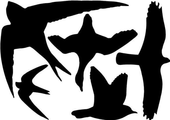 Produktbild Esschert Design Vogelsilhouetten (32 x 32 cm)