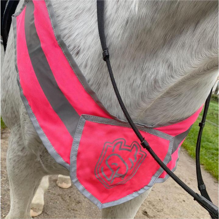 Image du produit Soulhorse Avant-train lumineux