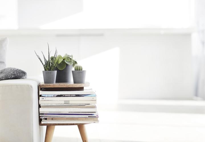 Actual product image Ecopots Amsterdam Mini (8 cm)