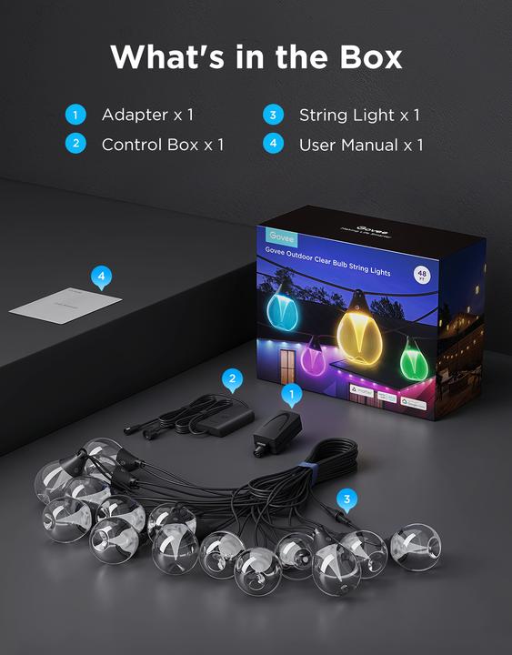 Actual product image Govee Outdoor Clear Bulb String Lights (16 m)