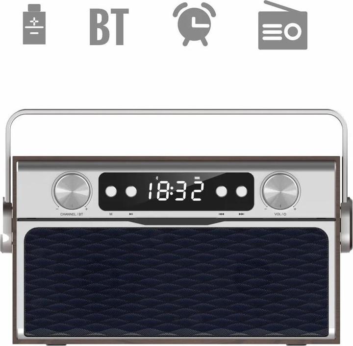 Actual product image Manta RDI917PRO (FM, PLL, Bluetooth)