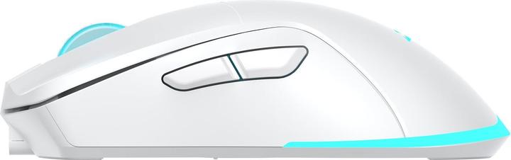 Produktbild Baracuda BGM-122 Schildkröte Weiss (Kabellos)