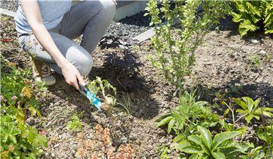 Actual product image Gardena spud
