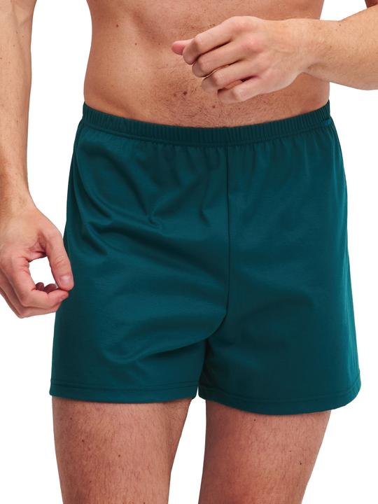 Actual product image Calida Cotton Special Boxershorts (M, pack of 2)