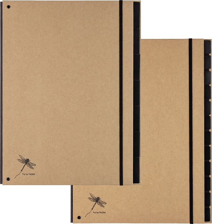 Produktbild Pagna Pultordner (A4, 1 x)