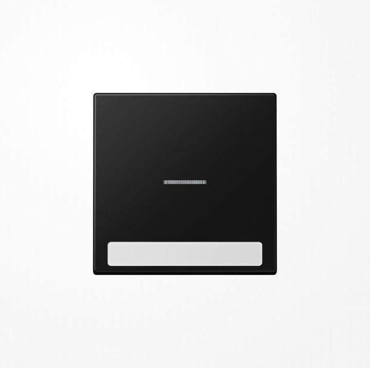 Actual product image JUNG Control rocker switch LS gra-sw mt LS990NAKO5SWM