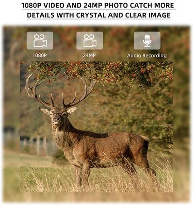 Actual product image Stealth Gear Hedgehog 1080p 4G Wildcamera