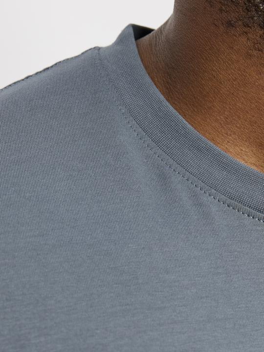 Actual product image Jack & Jones Jorvesterbro Tee Ss Crew Neck Noos Pls (8XL)