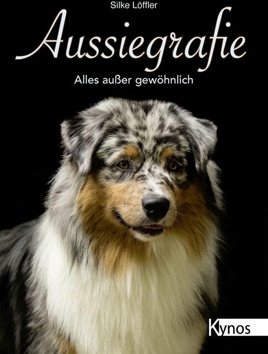 Produktbild Aussiegrafie (Deutsch, Silke Löffler, 2018)