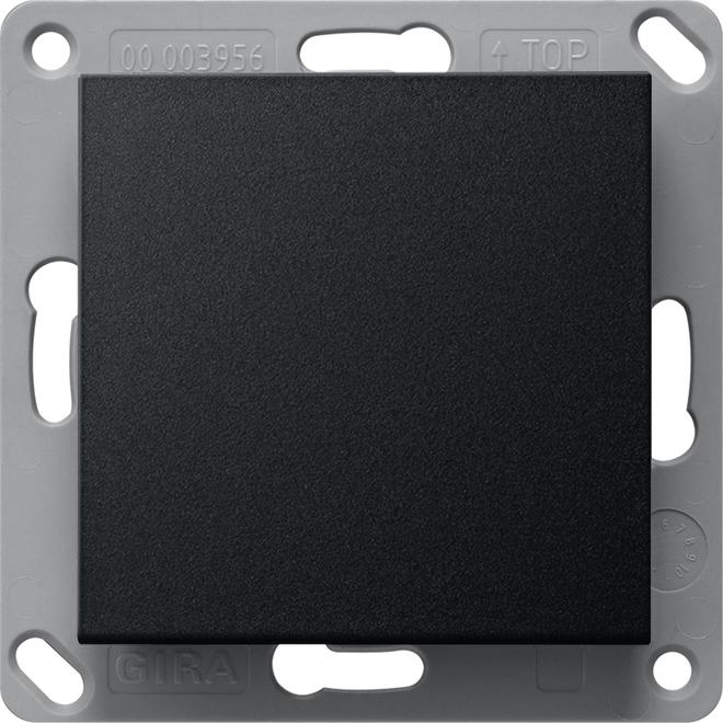 Gira 2421005, Taster + Schalter, Schwarz