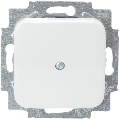 Actual product image Busch-Jaeger Blind central disc