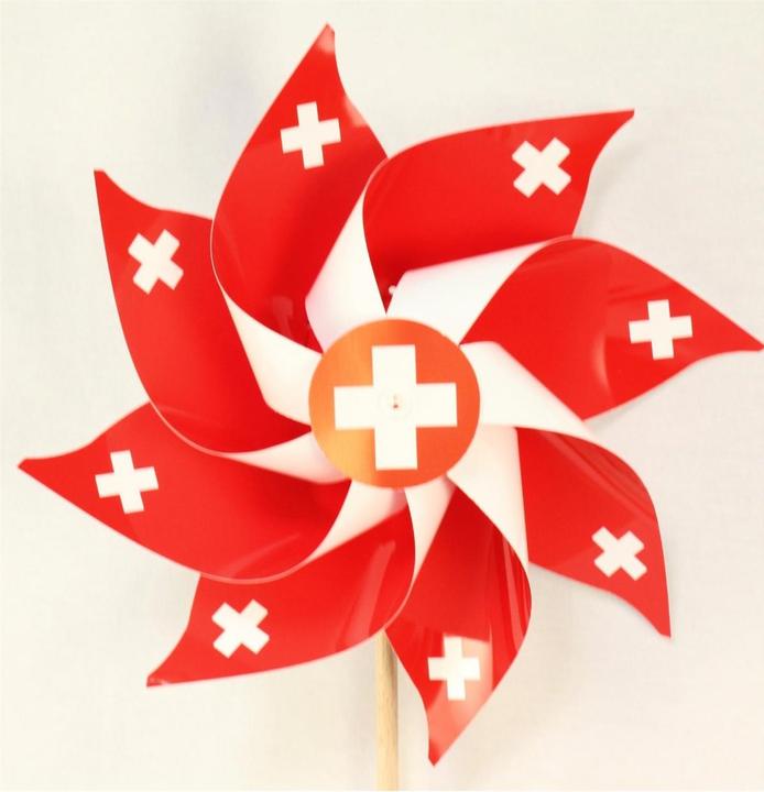 Actual product image Weco CH wind turbine