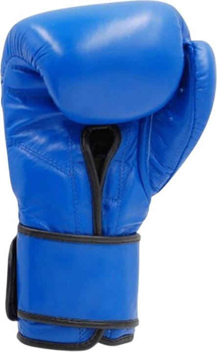 Produktbild Evolution Boxhandschuhe Professional Rinderleder (12)