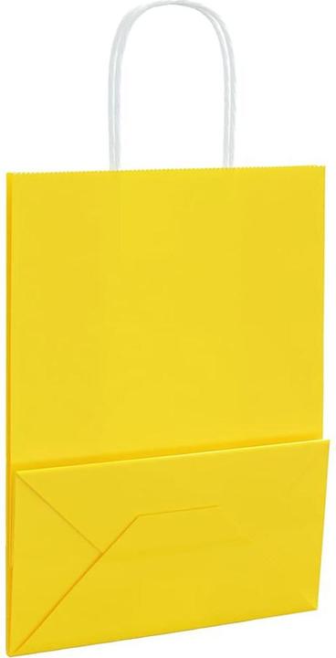 Image du produit vidaXL Papiertragetasche (250x)