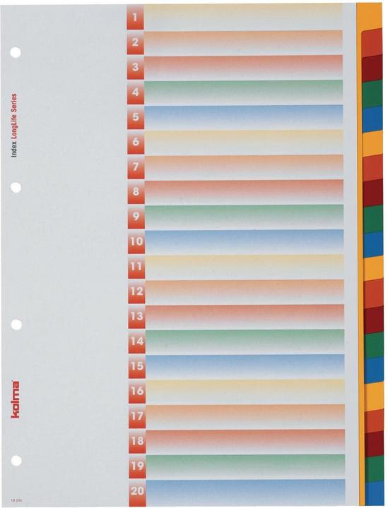 Actual product image Kolma Index A4 superstrong blank 20-piece coloured
