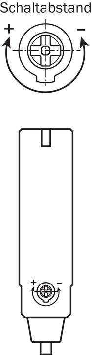 Actual product image Sick Circular photoelectric sensor (0.30 m)