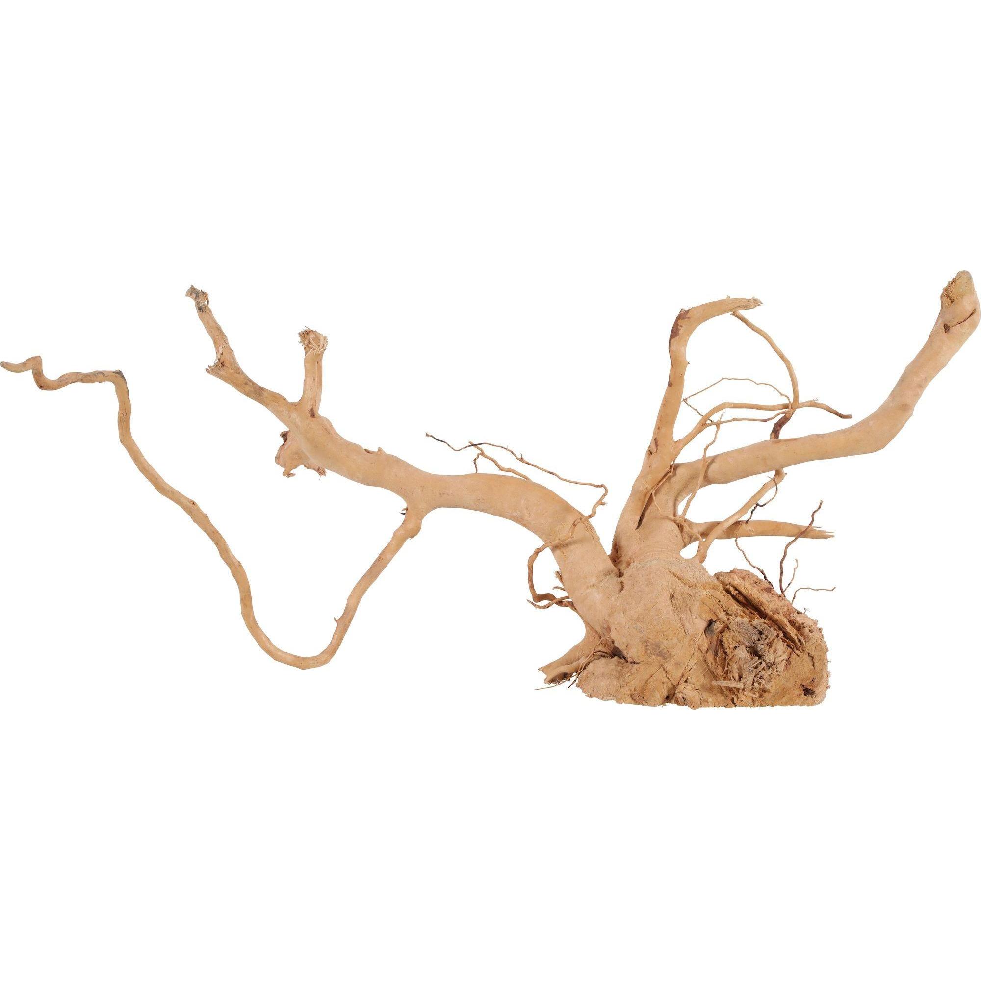 Thumbnail - Zolux Japanese root spider 50-60 cm (Dekoration, sonstige Gegenstände), Aquarium Dekoration
