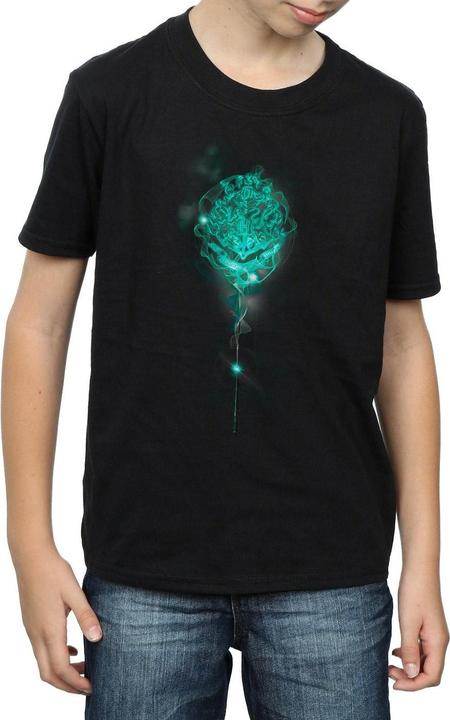 Produktbild Hogwarts Crest Mist TShirt Jungen (116)