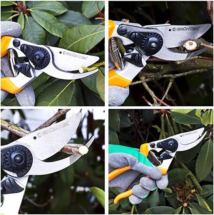 Image du produit Grüntek Mechelle