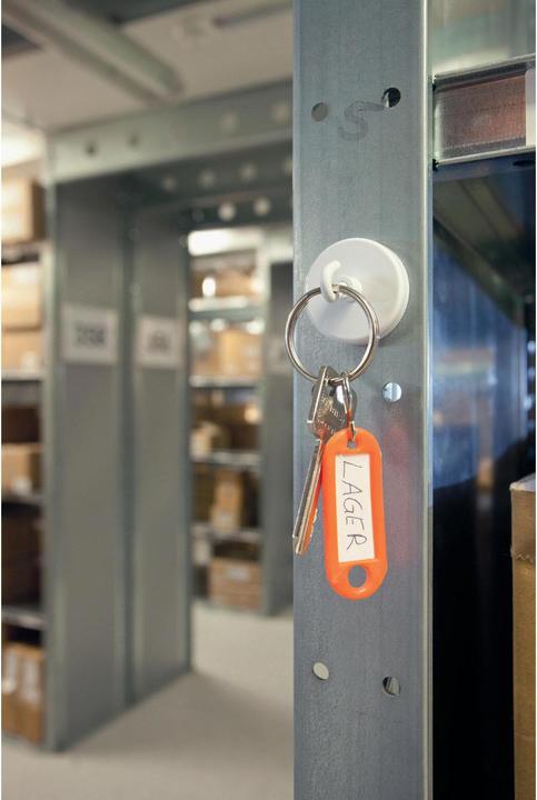 Productafbeelding Magnetoplan Haakmagneet (1 x)