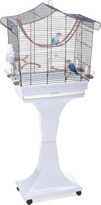 IMAC Vogelkooi Sofia