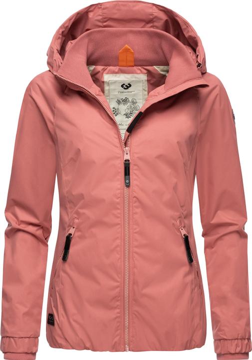 Vecchio Rosa24