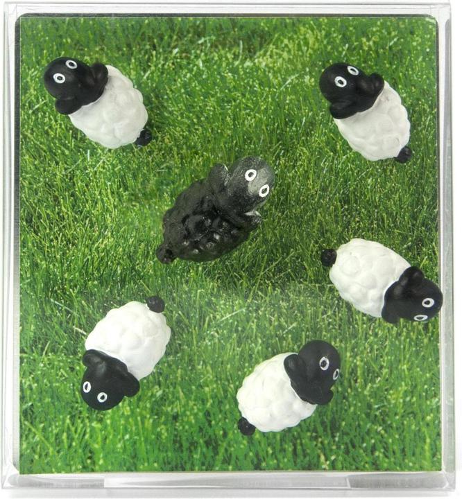 Image du produit Trendform Moutons (6 x)