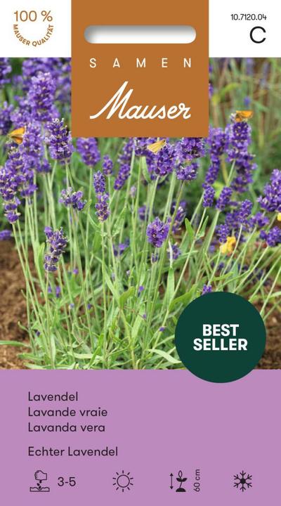 Actual product image Samen Mauser Real Lavender (Herb seeds)