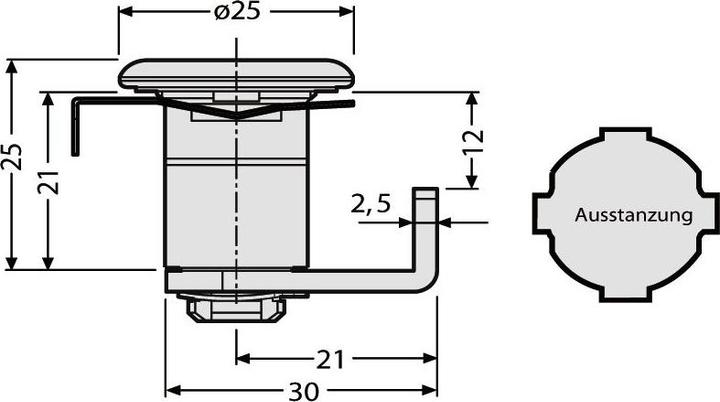 Actual product image Renz Zylidner letterbox (replacement cylinder) with 2 keys made of polished brass