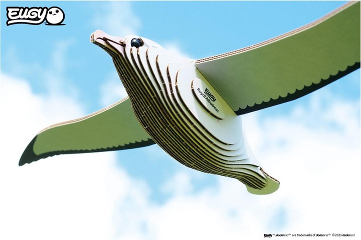 Actual product image Eugy 3D craft set Royal Albatross (MQ6)