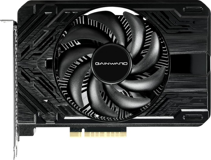 Produktbild Gainward GeForce RTX 4060 Pegasus (8 GB)