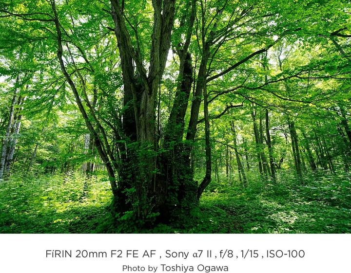 Produktbild Tokina Firin 20mm F2 FE AF Sony FF E-mount (Sony E, APS-C / DX, Vollformat)