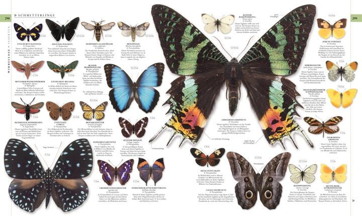 Actual product image Die Natur in über 5000 Fotos (German, David Bernie, 2021)