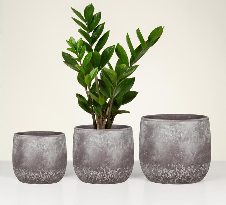 Image du produit Scheurich Pot de fleurs Dune 6.1 l, Marron (19 x 17 cm)
