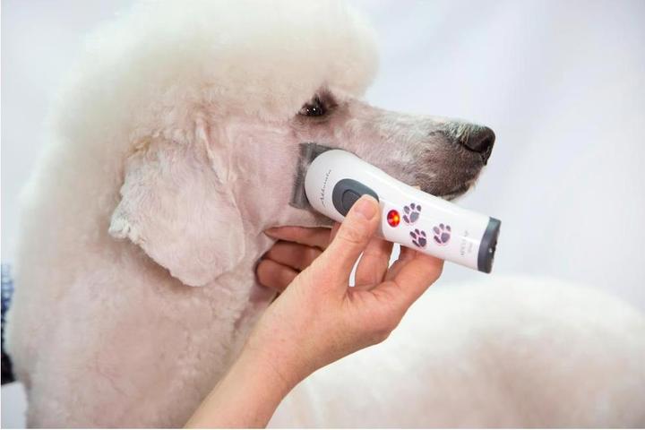 Actual product image Kerbl Accurata (Dog)