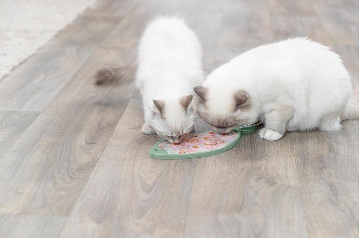 Produktbild Trixie Lick'n'Snack Platte