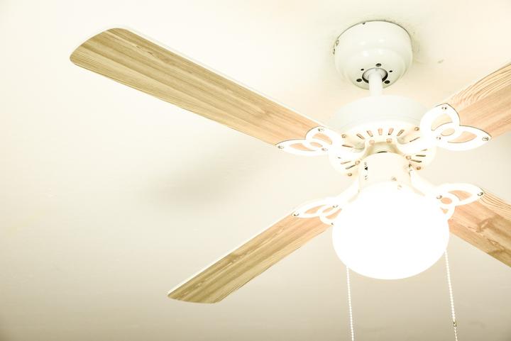 Actual product image Westinghouse Vegas (48 dB)