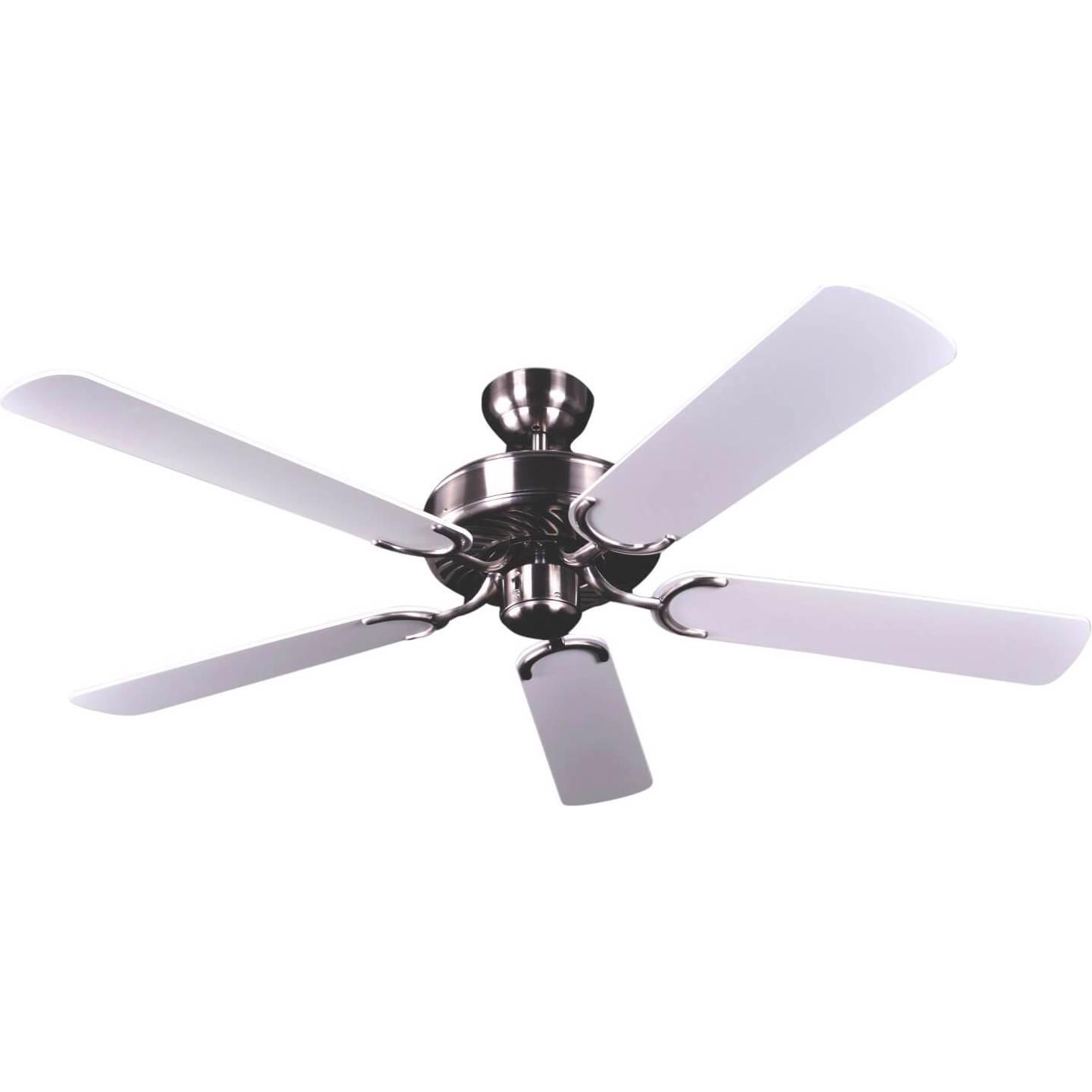 Pepeo Potkuri, Ventilator, Grau