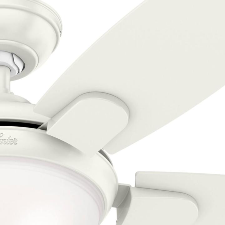 Actual product image Hunter Fans Contempo (46 dB)