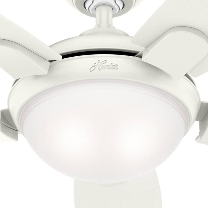 Actual product image Hunter Fans Contempo (46 dB)