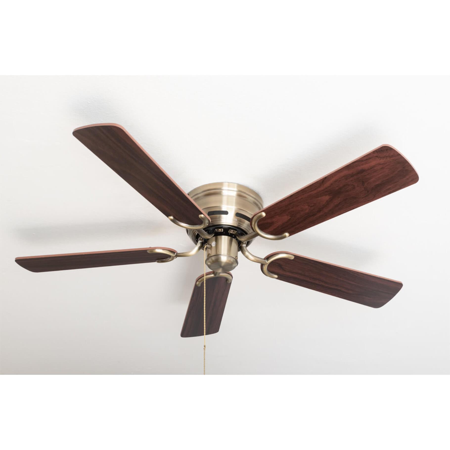 Thumbnail - Pepeo Kisa Deluxe, Ventilator, Braun