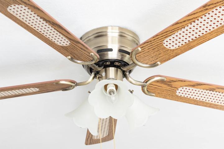 Actual product image Pepeo Kisa Deluxe (52 dB)