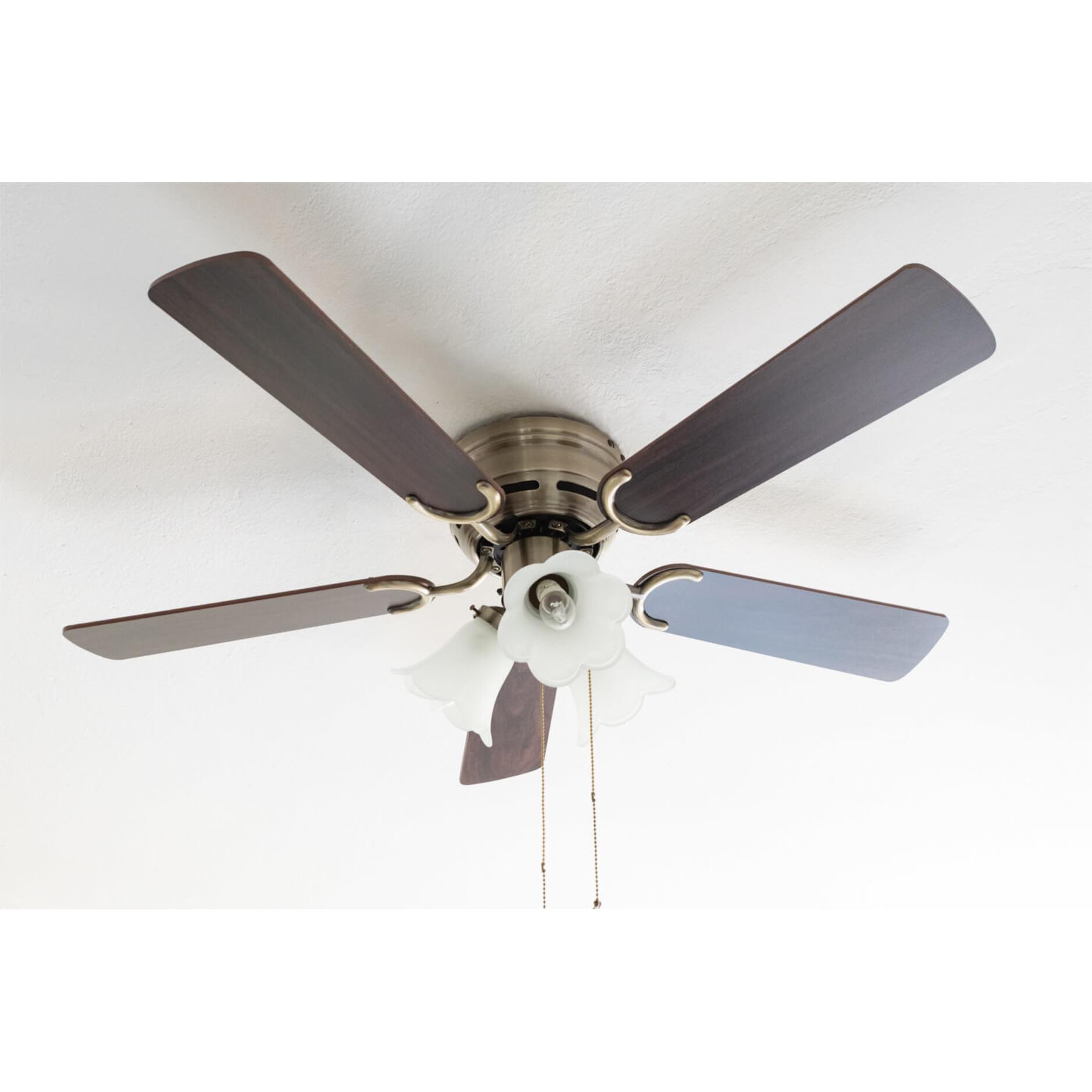Pepeo Kisa Deluxe, Ventilator, Braun