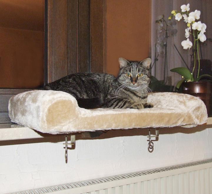 Produktbild Kerbl Fensterliegebrett (Hund, Katze)