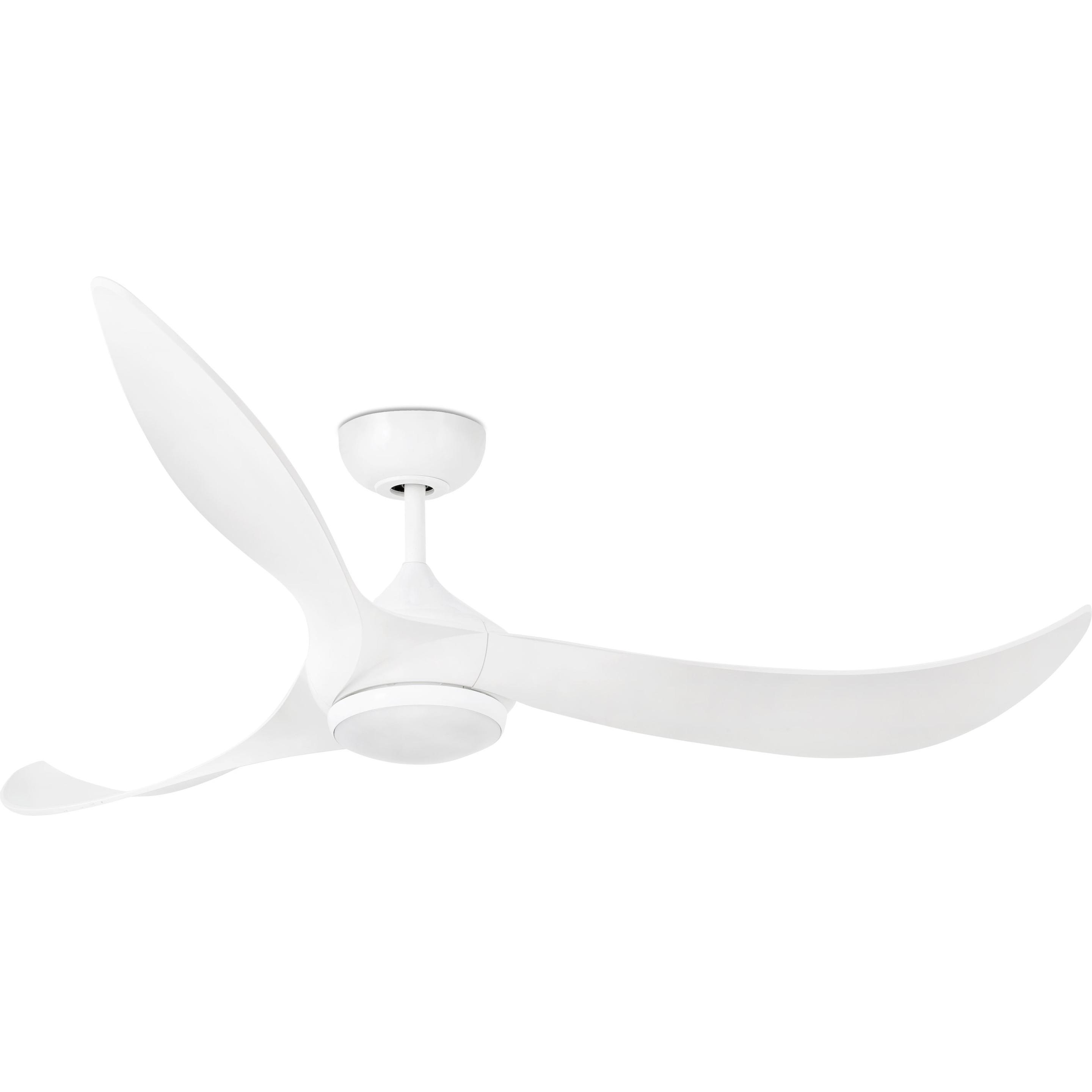 Faro Bahamas, Ventilator, Weiss