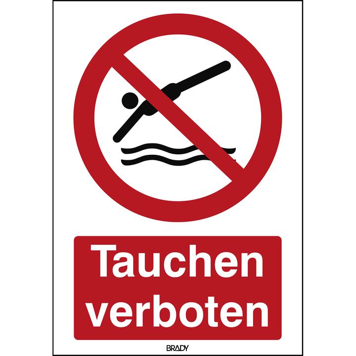 Actual product image Brady P/P052/DE335/PP-297X420-1, ISO safety labelling - Diving prohibited