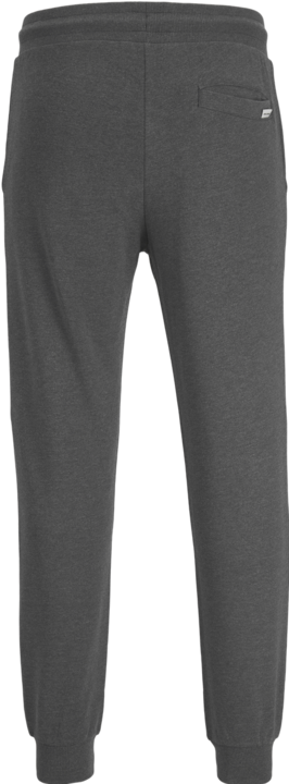 Actual product image Jack & Jones Gordon Sweathose (XS)
